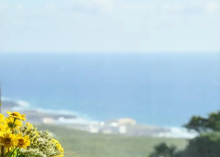 Dream Guincho カントリーハウス カスカイス